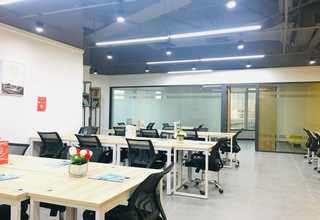 山东氨基寡糖素在桃树上