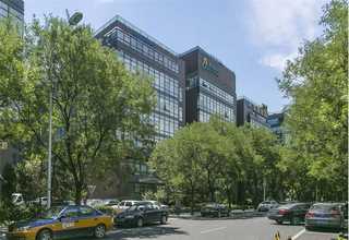 印度色泽鲜艳酞青易分散绿